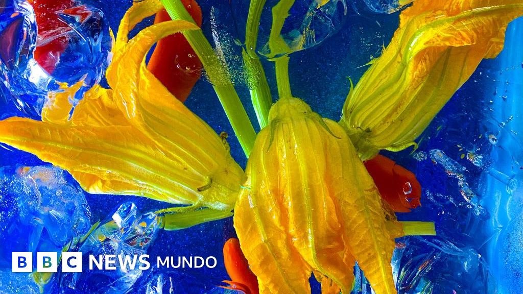Lavanda, hibisco, bugambilia y otras flores comestibles que puedes encontrar en tu jardín (y que tienen propiedades nutritivas)