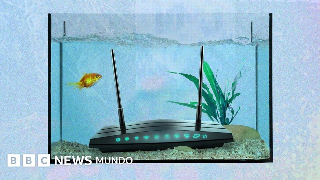 Las cosas más extrañas que interfieren con el Wi-Fi y cómo mejorar la señal