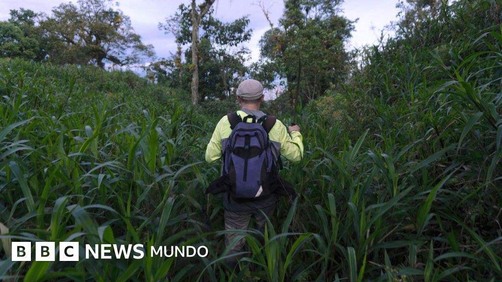 La verdadera historia detrás de la "ciudad perdida" de la Amazonía
