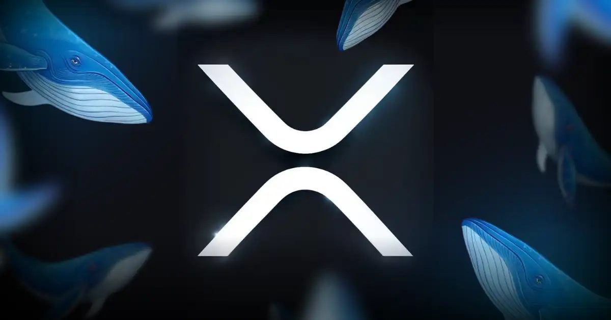 XRP Price at $10: The Financial Plumbing Argument That Has Nothing to Do With Hype