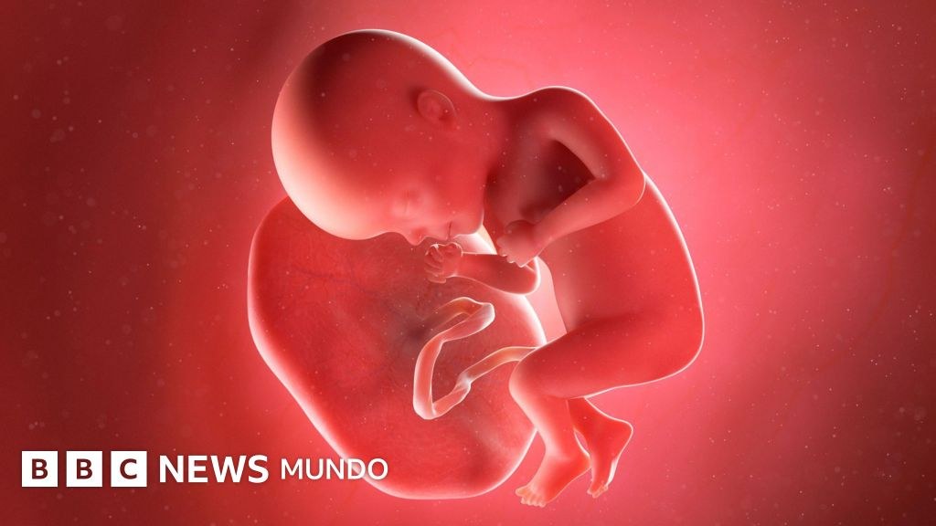 Cómo operaba la red acusada de traficar con placentas humanas en Pakistán (y por qué existe un mercado para ellas)
