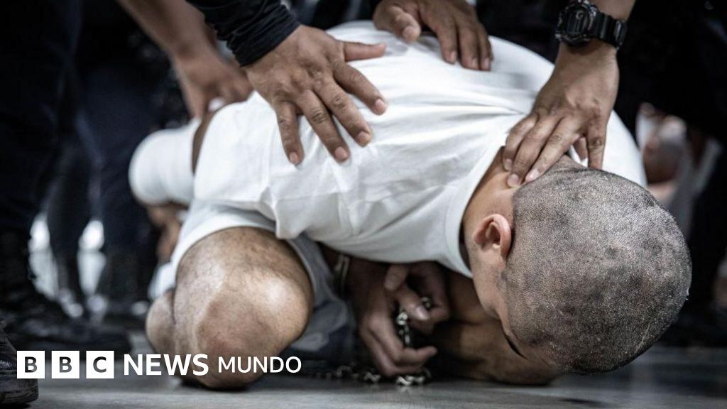 Cómo las megacárceles de Bukele se convirtieron en un modelo para la derecha radical (y qué ha pasado donde se han replicado)